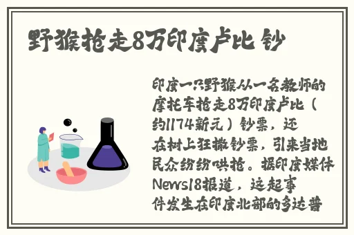 永久看一二三四线